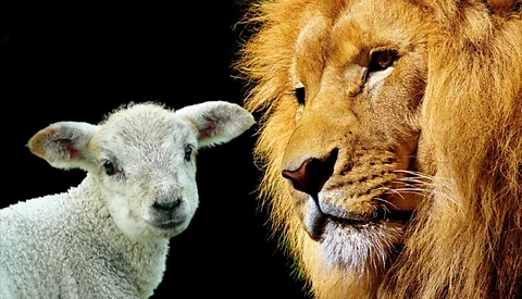 The Book of Revelation